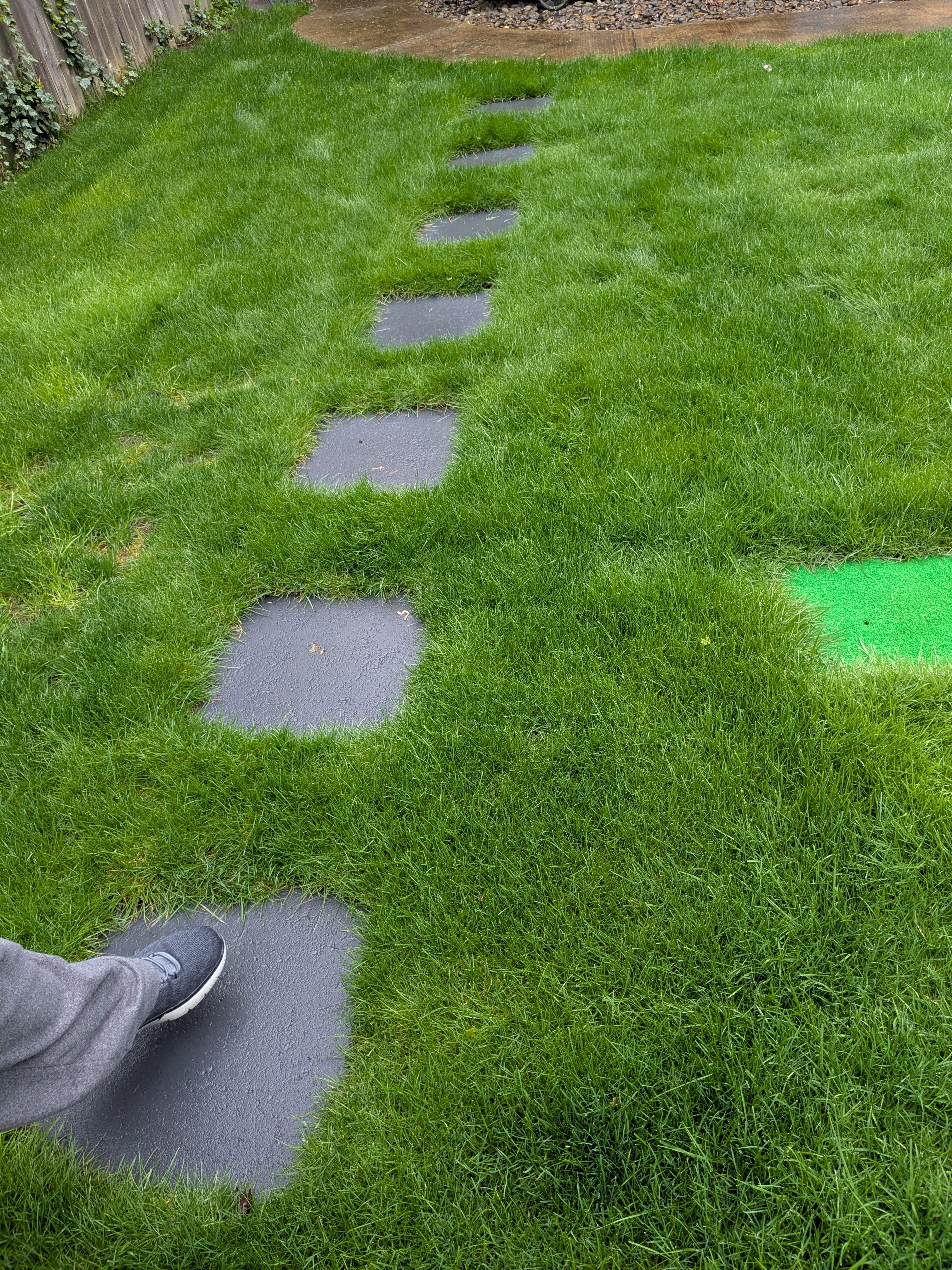 Turf and stepping stone installation Beaverton